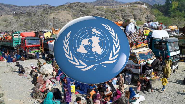 Untitled design (19)