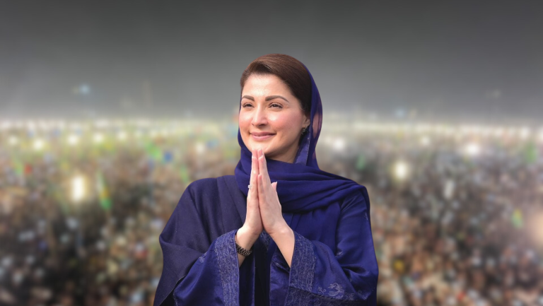 بھائی کی مقروض،مریم نواز کے اثاثوں کی تفصیلات سامنے آگئیں