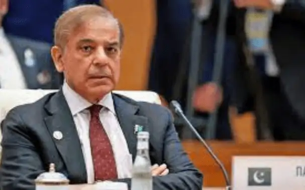 مشکل حالات میں شہباز شریف بہترین چوائس ہیں، نواز شریف
