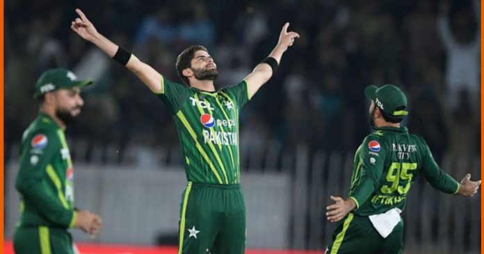 Pakistan vs New Zealand: Shaheen Afridi holds a unique T20 record