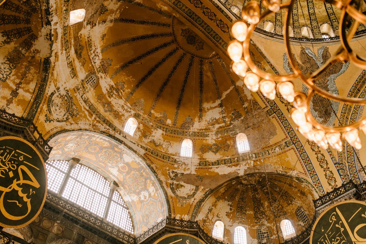 pexels-julia-volk-6129591