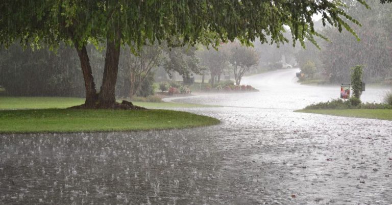 monsoon-rains-ndma-issues-flood-warning-in-punjab-kp