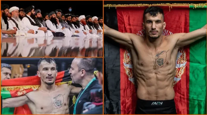 Afghanistan's Taliban government has banned 'violent' mixed martial arts.