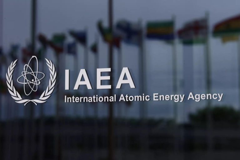 International Atomic Energy Agency (IAEA)