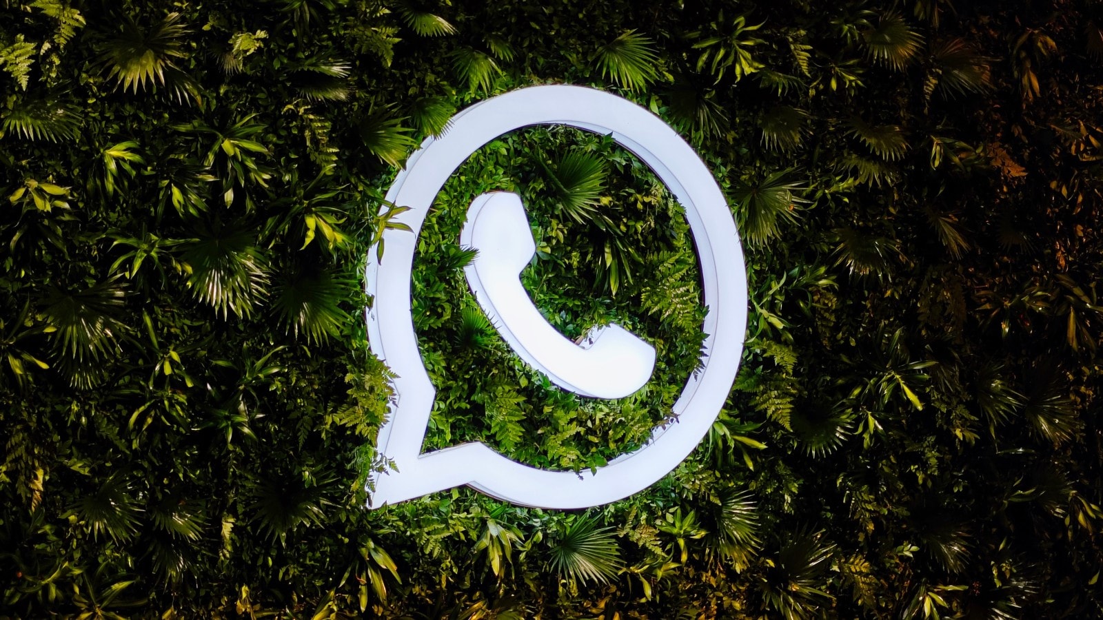 whatsapp-logo-express-photo