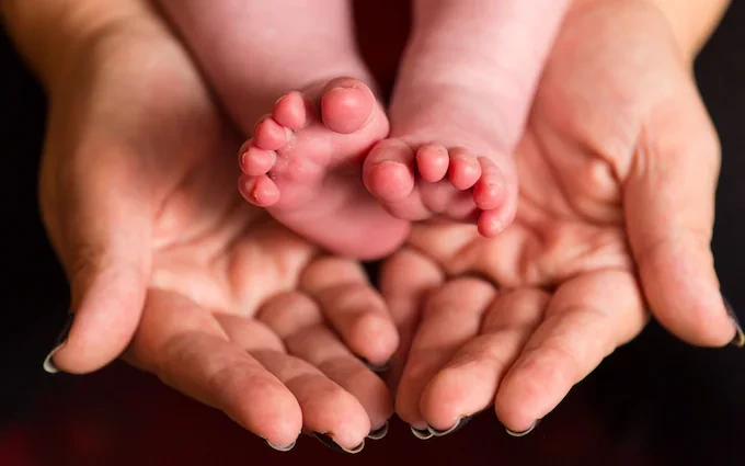 World Fertility Report 2024, Pakistan's birth rate drops significantly