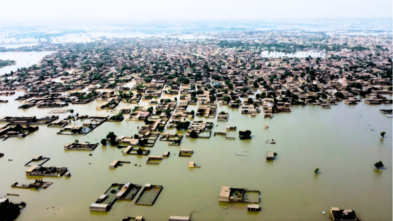 Pakistan Losses of over $30 billion after 2022 floods, aid of only $600 million received