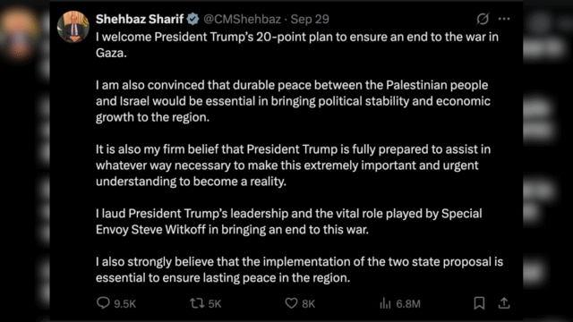 The government's cautious welcome