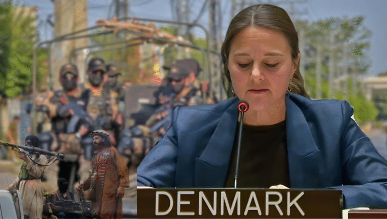 Denmark reveals in the Security Council that Afghan Taliban are providing logistical support to TTP