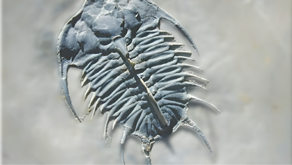 Scientists Train Artificial Intelligence To Solve Ancient Chemical Puzzle