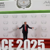 Trump's Gaza plan difficult to implement, Muslim countries begin to retreat, editorial