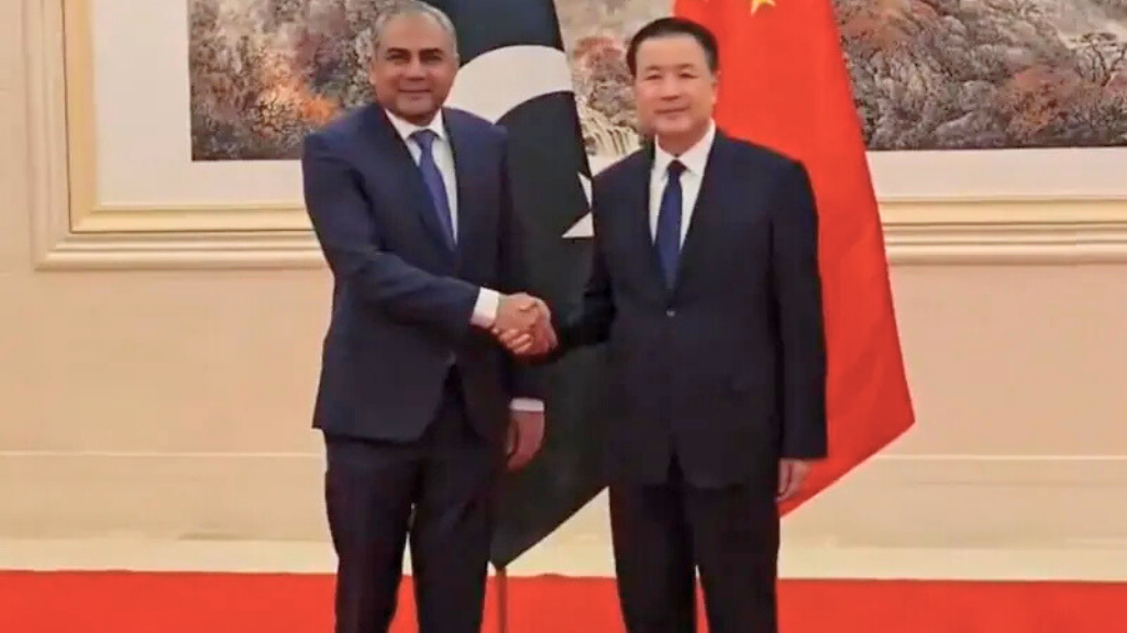 A special protection unit has been established in Islamabad for the protection of Chinese citizens