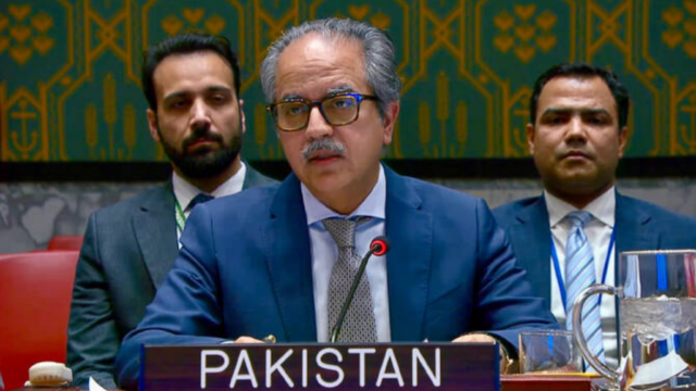 سلامتی کونسل میں دو ریاستی حل کو لاحق خطرات پر تشویش، پاکستان نے اسرائیلی آبادکاری فوری روکنے کا مطالبہ کر دیا