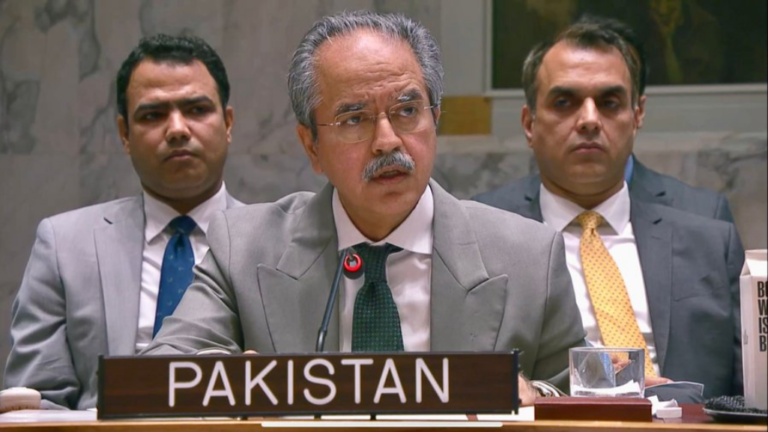 India's agenda in Afghanistan is to destabilize Pakistan, Pakistan's position in the Security Council