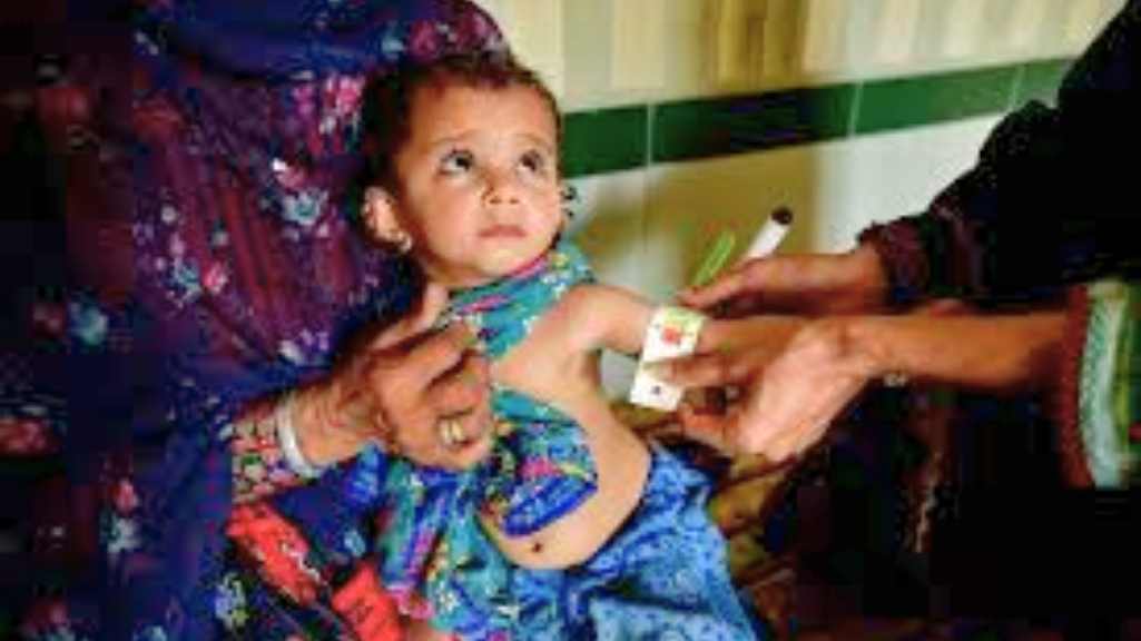 Pakistan's Human Capital Investing in Parents and Early Childhood is the Need of the Hour