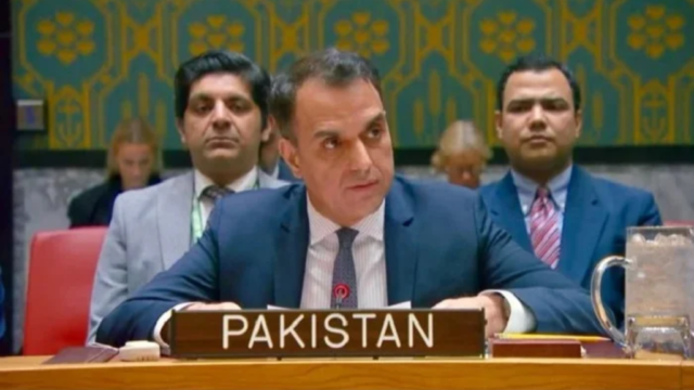 پاکستان کا سلامتی کونسل میں سعودی عرب سے مکمل اظہارِ یکجہتی، حوثی حملوں کی شدید مذمت