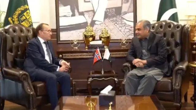محسن نقوی کی ناروے کے وزیر خارجہ سے ملاقات، افغان سرزمین کے دہشت گردی میں استعمال پر تشویش