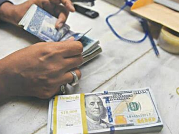 معدنیات، توانائی اور آئی ٹی میں اربوں ڈالر کی سرمایہ کاری متوقع، ایس آئی ایف سی کی سینیٹ کو بریفنگ